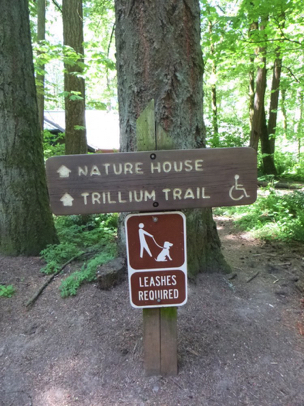 Wayfinding signage and dog leash requirement